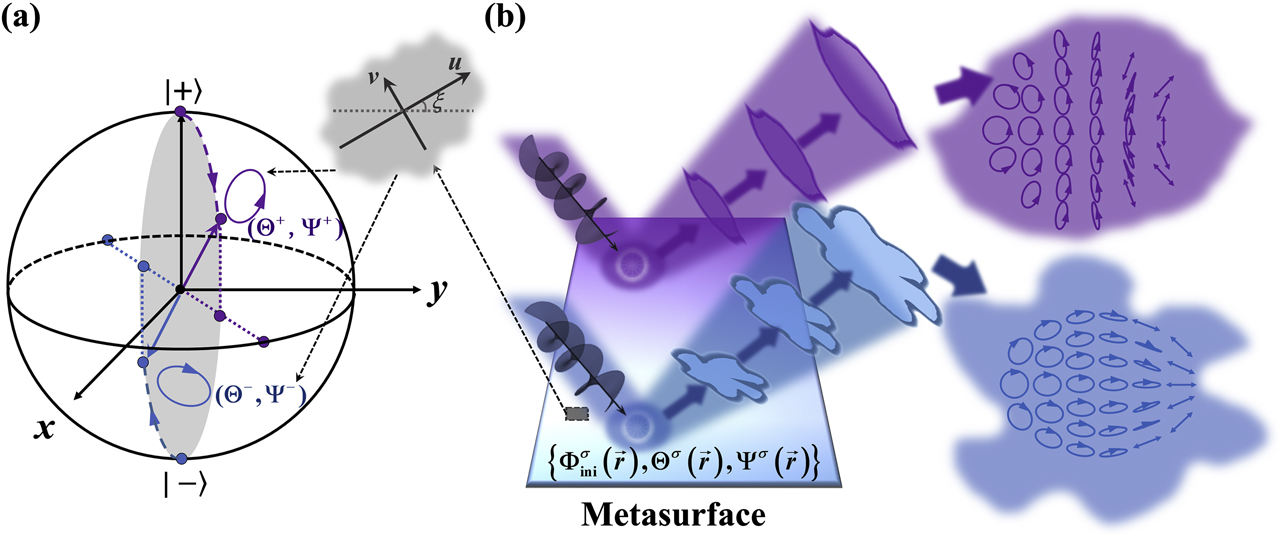 Figure 1: Schematics of spin-delinked bifunctional vectorial optical field (VOF) generations.(a) Dashed lines in blue and purple colors illustrate how the polarization change from initial left circular polarization (LCP) and right circular polarization (RCP) states to two final states denoted by two points (Θ+,Ψ+)$\left({{\Theta}}^{+},{{\Psi}}^{+}\right)$ and (Θ−,Ψ−)$\left({{\Theta}}^{-},{{\Psi}}^{-}\right)$ on Poincare’s sphere, as our meta-atom is shined by incident CP light with different helicity. Inset to (a) illustrates the local coordinate of a meta-atom. (b) Schematics of light scatterings at a metasurface exhibiting pre-designed distributions of {Φiniσ(r→),Θσ(r→),Ψσ(r→)}$\left\{{{\Phi}}_{\text{ini}}^{\sigma }\left(\to {r}\right),{{\Theta}}^{\sigma }\left(\to {r}\right),{{\Psi}}^{\sigma }\left(\to {r}\right)\right\}$ under LCP and RCP illuminations, generating two distinct reflected beams with different wave fronts and inhomogeneous polarization distributions.