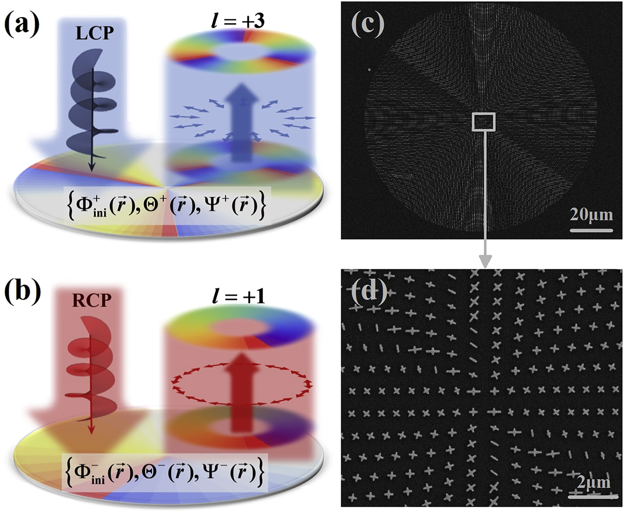 Figure 4: Expected bifunctionalities of metadevice I and its sample picture.Schematics of light scatterings at a metadevice exhibiting {Φini+,Θ+,Ψ+}$\left\{{{\Phi}}_{\text{ini}}^{+},{{\Theta}}^{+},{{\Psi}}^{+}\right\}$ and {Φini−,Θ−,Ψ−}$\left\{{{\Phi}}_{\text{ini}}^{-},{{\Theta}}^{-},{{\Psi}}^{-}\right\}$ distributions as given by Eqs. (7) and (8), under illuminations of (a) left circular polarization (LCP) and (b) right circular polarization (RCP) incidences. (c) Scanning electron microscopy (SEM) image and (d) a zoom-in view of the fabricated sample.