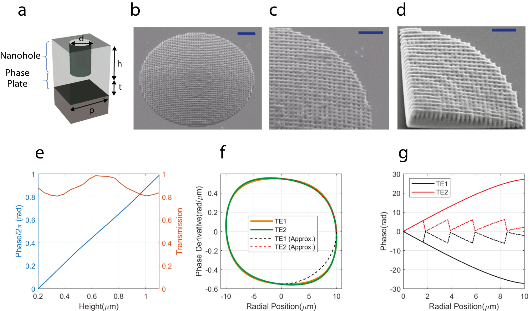 Figure 1: A 3D achromatic metalenses.(a) The unit structure of the metalens merges a nanohole and a phase plate. The dimensions d, h, p and t represent diameter, height, and period of the nanoholes and thickness of the phase plate, respectively. We set d = 0.2 μm and p = 0.4 μm. (b) Scanning electron micrograph of 20 μm diameter metalens. The structure is fabricated with two-photon lithography on a fused silica substrate. Scale bar is 3 μm. (c) Zoomed-in image of 20 μm diameter metalens. The holes are clearly visible on the surface. (d) Quarter-section of 20 μm diameter metalens showing the varying hole depth. Scale bar is 2 μm. (e) Phase shift and transmission of nanoholes as the function of depth at 450 nm wavelength. (f, g) Phase derivative and the phase shift distribution as the function of radial coordinates for EPD = 20 μm and NA = 0.27 achromatic metalens.