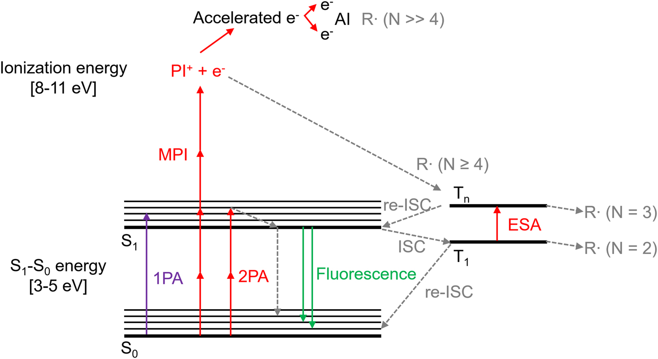 Figure 2: Jablonski diagram. 2PA and MPI are explained in the scheme. 2PA occurs in PI or monomer molecules. They are excited from the ground state S0 to the excited singlet S1 state (3–5 eV bandgap) and then through the intersystem-crossing (ISC) go to triplet state where they form radicals. In the MPI case, the electron is separated from the PI or monomer molecules, following avalanche ionization (AI). However, it requires more energy to excite the molecule (e. g., 8–11 eV, four photons). 1PA – one-photon absorption. ESA – excited state absorption. Reprinted with permission from [31].