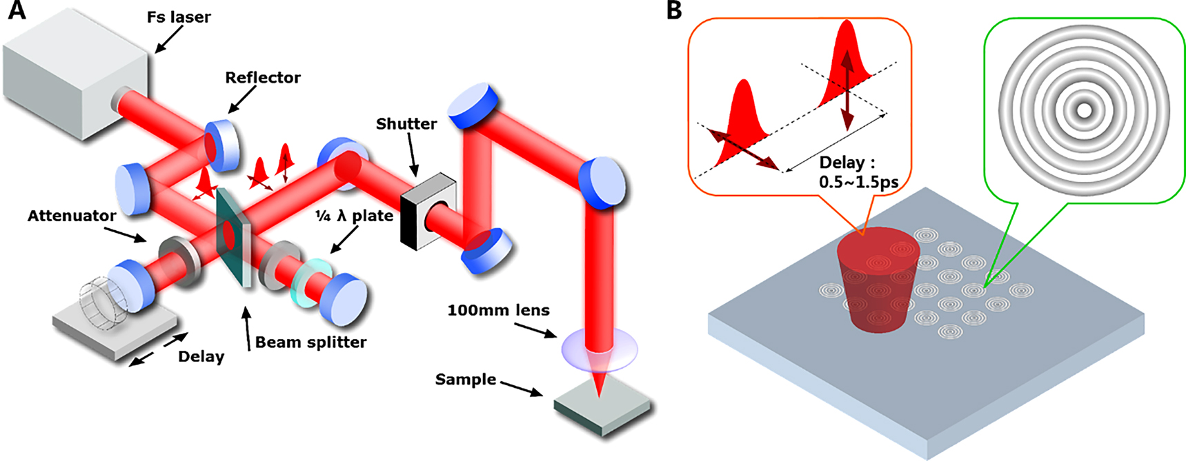 Figure 1: (A) Experimental setup based on a Michelson interferometer used in our study. (B) Illustration of the fabrication of nanometric concentric ring structures.