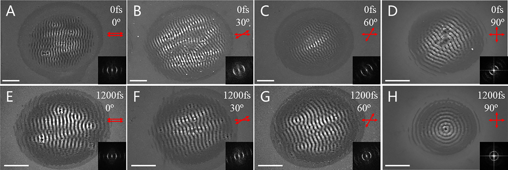 Figure 2: Formation of low-spatial-frequency LIPSS (LSFL) on silicon surfaces through single-spot irradiation with different polarized femtosecond laser double-pulse sequences. The relevant two-dimensional fast Fourier transform (2D-FFT) image is illustrated in the bottom right of each SEM image. The scale bar: represents 5 μm.