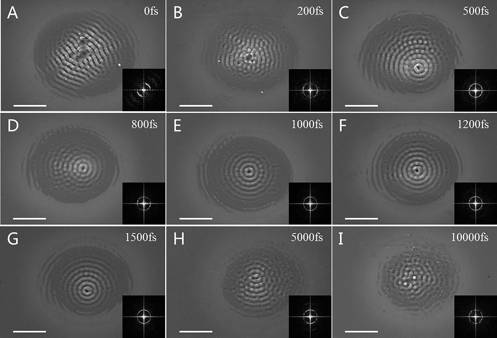 Figure 3: Formation of nanometric concentric ring structures on silicon surfaces when the burst number was fixed at 4 and the time delay was 0 fs to 10 ps. The relevant two dimensional fast Fourier transform (2D-FFT) image is illustrated in the bottom right of each SEM image. The scale bar represents 5 μm.