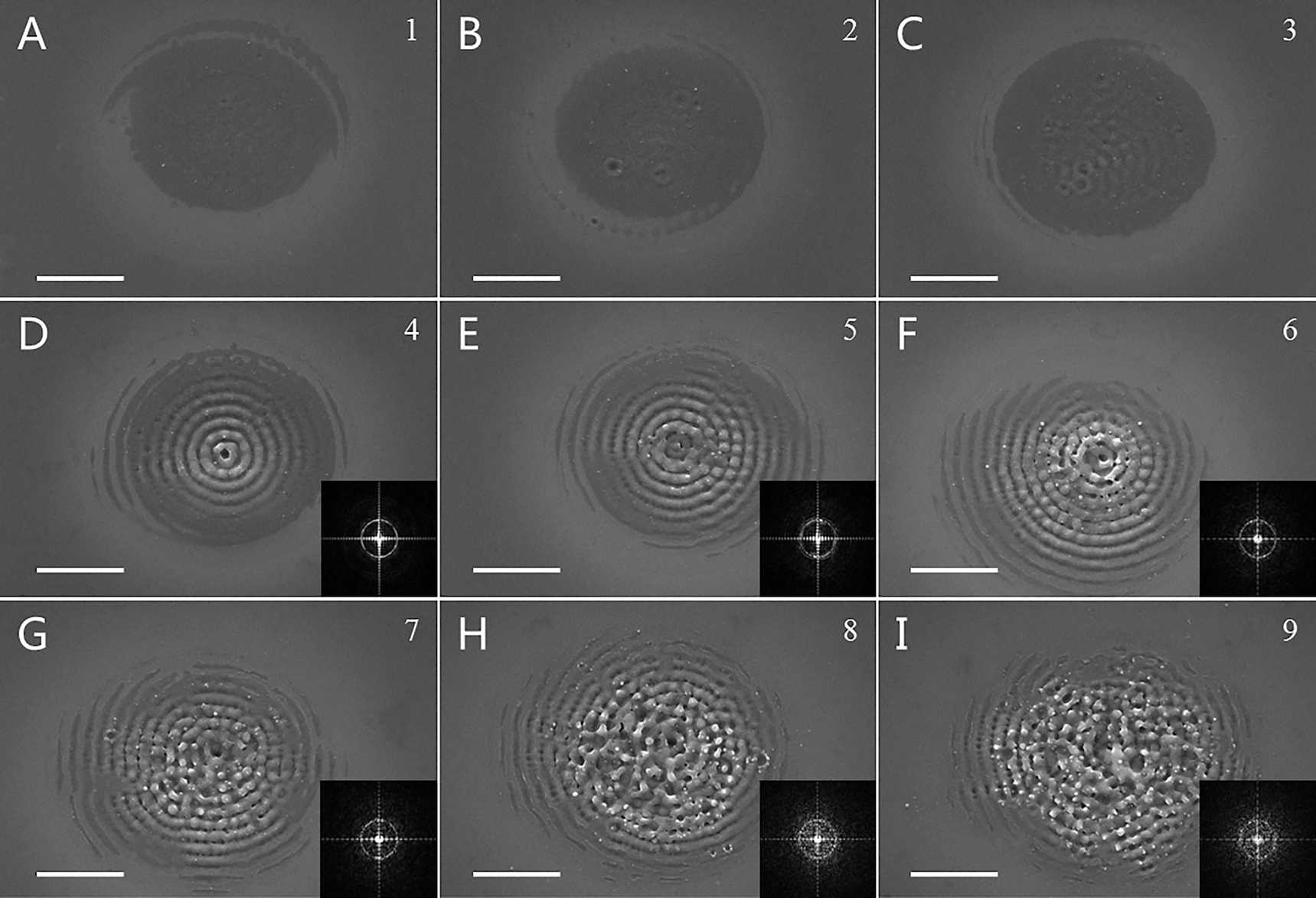 Figure 5: Formation of nanometric concentric ring structures on silicon surfaces with a burst number of 1–9 when the time delay between two subpulses was fixed at 1200 fs. Scale bar: 5 μm.