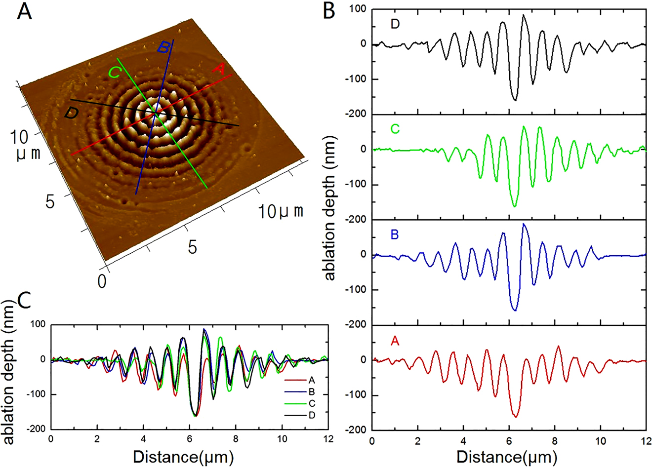 Figure 6: (A) Three-dimensional (3D) perspective AFM image of concentric ring structures at the time delay of 1000 fs and burst number of 4. (B) Separate AFM profiles (ablation depth) along the red, blue, green, and black lines in (A). (C) Combined AFM profiles (ablation depth) along the lines in (A).