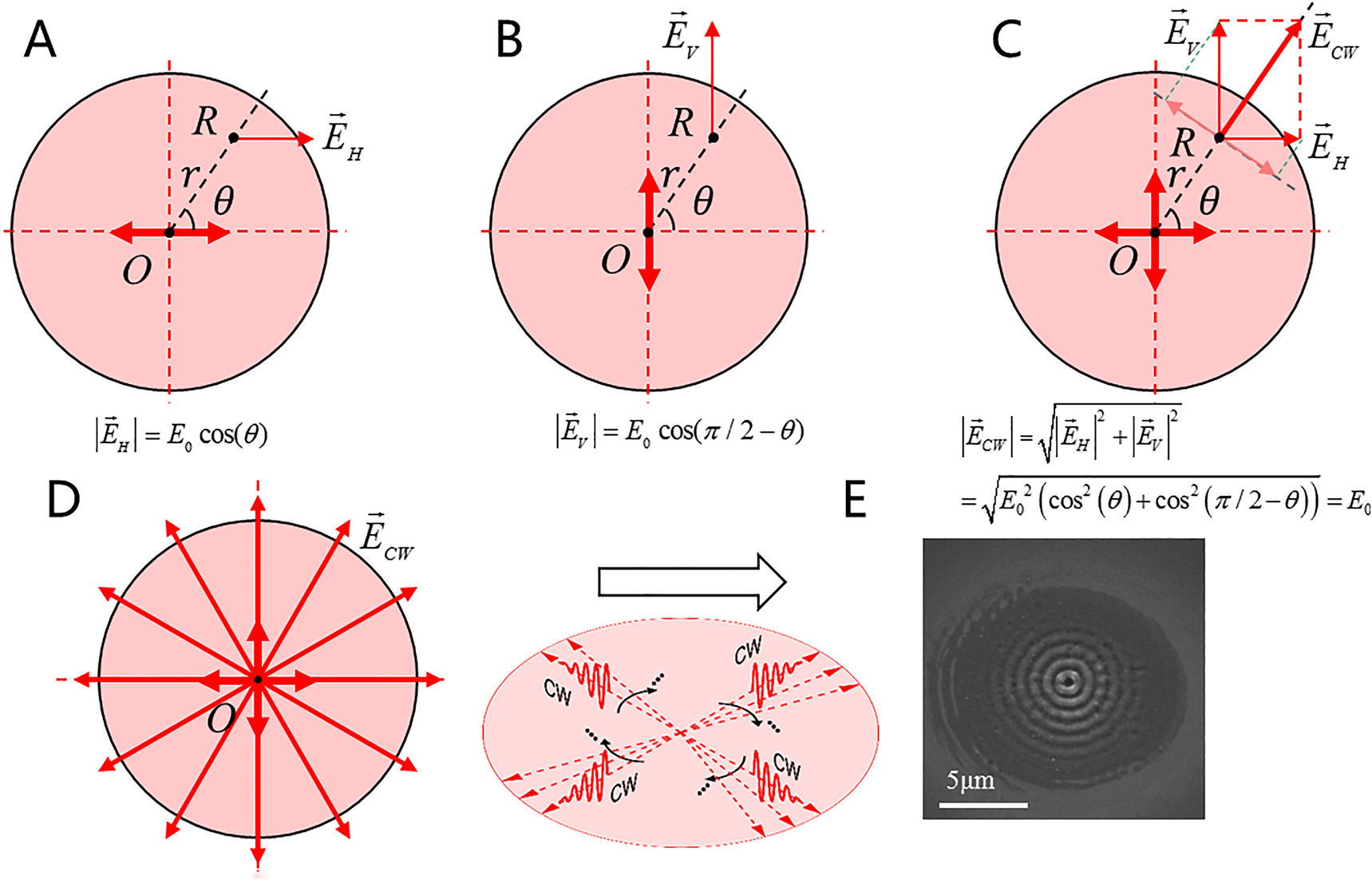 Figure 7: (A) Case of horizontally polarized femtosecond laser single-spot irradiation. (B) Case of vertically polarized femtosecond laser single-spot irradiation. (C) Case of single-spot irradiation of OP pulses. (D) Spatial distribution of cylindrical wave stimulated with OP pulses through single-spot irradiation. (E) SEM image of concentric ring structures.