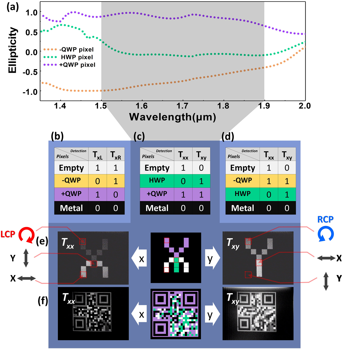 Figure 5: Double channels image storage.(a) Simulated ellipticity of three kinds of CNs. (b)–(d) Encoding tables of double channels image storage. (e) Images of letter “X” and “Y” are encoded on a single metasurface, and they can be read by co- and cross-polarization transmission light, respectively. The output states in the polarization distributions of the red dotted box areas in the middle schematic illustration are marked in the left and right sides of (e). (f) Images of two completely different QR codes that are encoded on different channels on a single metasurface, and they can be read by co- and cross-polarization, respectively.