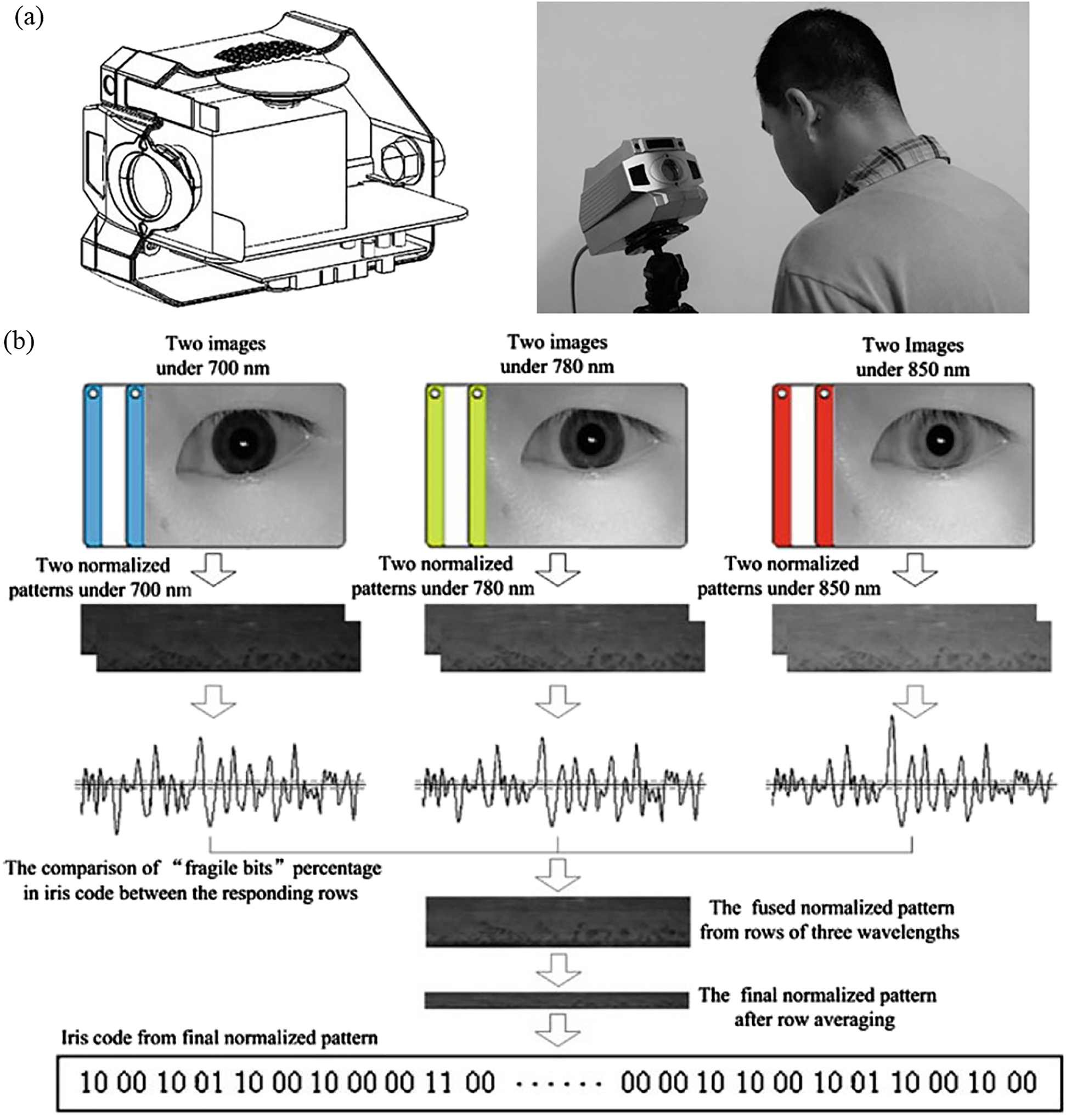 Figure 5: Multispectral iris recognition system and data fusion process.(a) Schematic drawing of multispectral iris capture device (left) and an optical image showing data collection process (right). (b) Fusing process of multispectral iris images at 700, 780 and 850 nm, including all the pigment information within iris. (a)–(b) are adapted with permission from Springer Nature: Multispectral Biometrics, by Zhang et al. [39]. Copyright 2016.