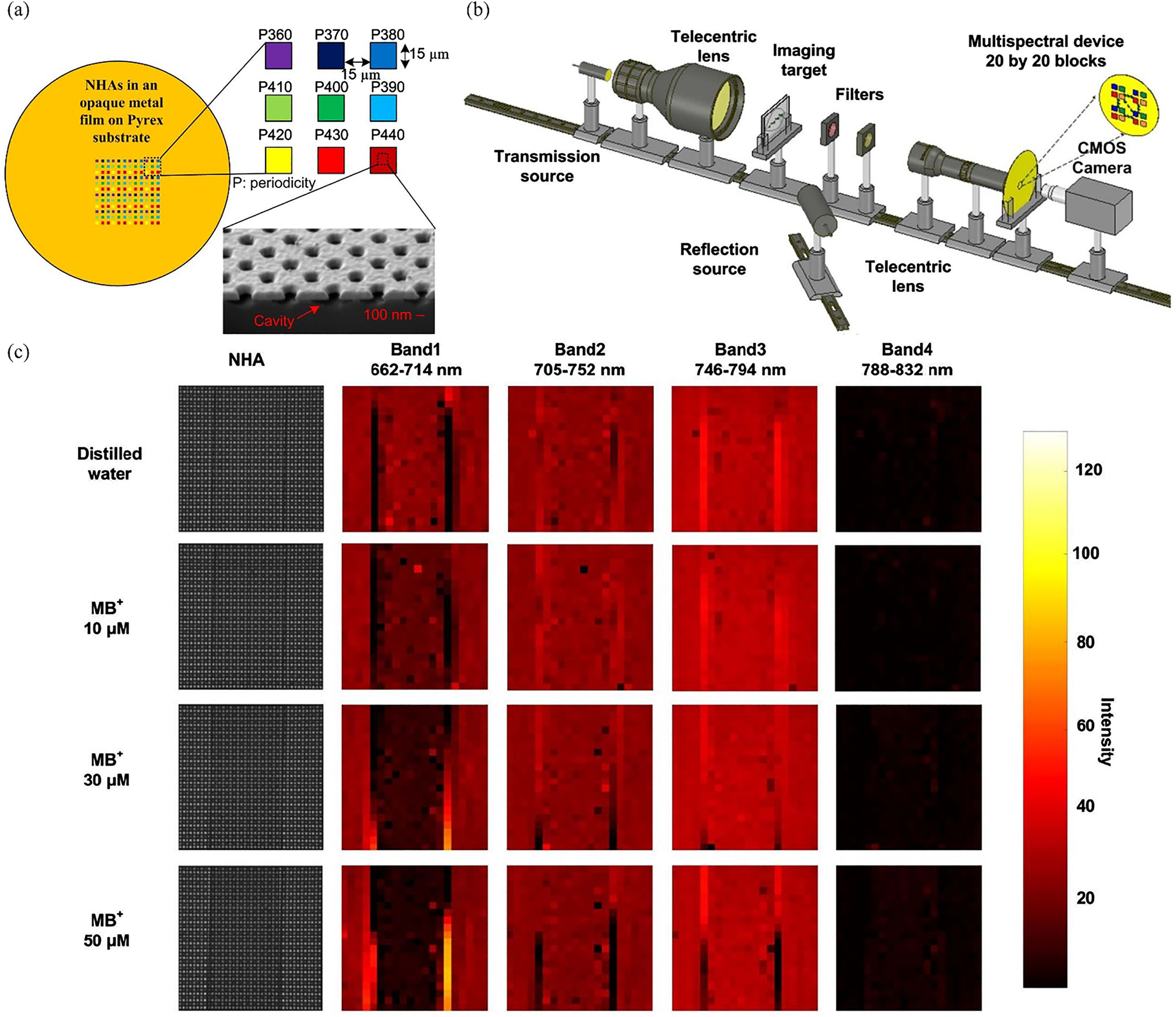 Figure 11: Multispectral imaging using nanohole array.(a) Schematic of mosaic filter formed by nanohole array (NHA). Inset shows the SEM image of the resonance cavity formed by etching through the gold layer. Resonance wavelength variation is achieved by adjusting the NHA period. (b) Multispectral imaging setup working in both transmission and reflection mode. NHA-based mosaic filters with 20 × 20 blocks are implemented in front of the CMOS camera. (c) Raw images of NHA and multispectral images of methylene blue (MB+) under different concentrations (10, 30, and 50 μM). (a)–(c) are adapted with permission from [75]. Licensed under a Creative Commons Attribution.