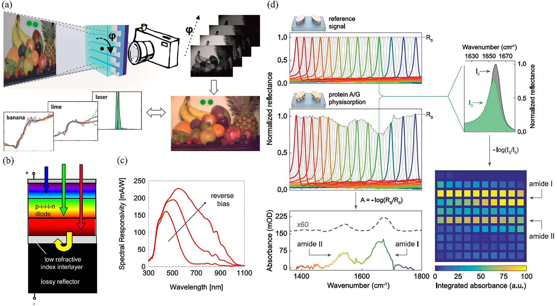 Figure 12: Standalone spectral filters for spectral imaging system.(a) Schematic of the setup for multispectral imaging using a tunable plasmonic-based color filter in front of an imaging camera. The filter property is tuned by polarization angle. Multispectral image and the spectra recorded at selected area are included at bottom part. (a) is adapted with permission from the study by Duempelmann et al. [28]. Copyright © 2017, American Chemical Society. (b) Cross section of vertically integrated tunable optical sensor. (c) Active tuning of sensor spectral responsivity by increasing reverse bias voltage. (b)–(c) are adapted with permission from the study by Jovanov et al. [125]. Copyright © 2018, American Chemical Society. (d) Protein absorption spectral measurement and spatial mapping. Absorption spectral is obtained by taking the difference between the normalized reflectance spectral with and without protein A/G. The spectral integration enables the translation from absorption signature into 2D absorption map as molecular barcode of protein (bottom right panel). (d) is adapted from the study by Tittl et al. [77]. Reprinted with permission from AAAS.