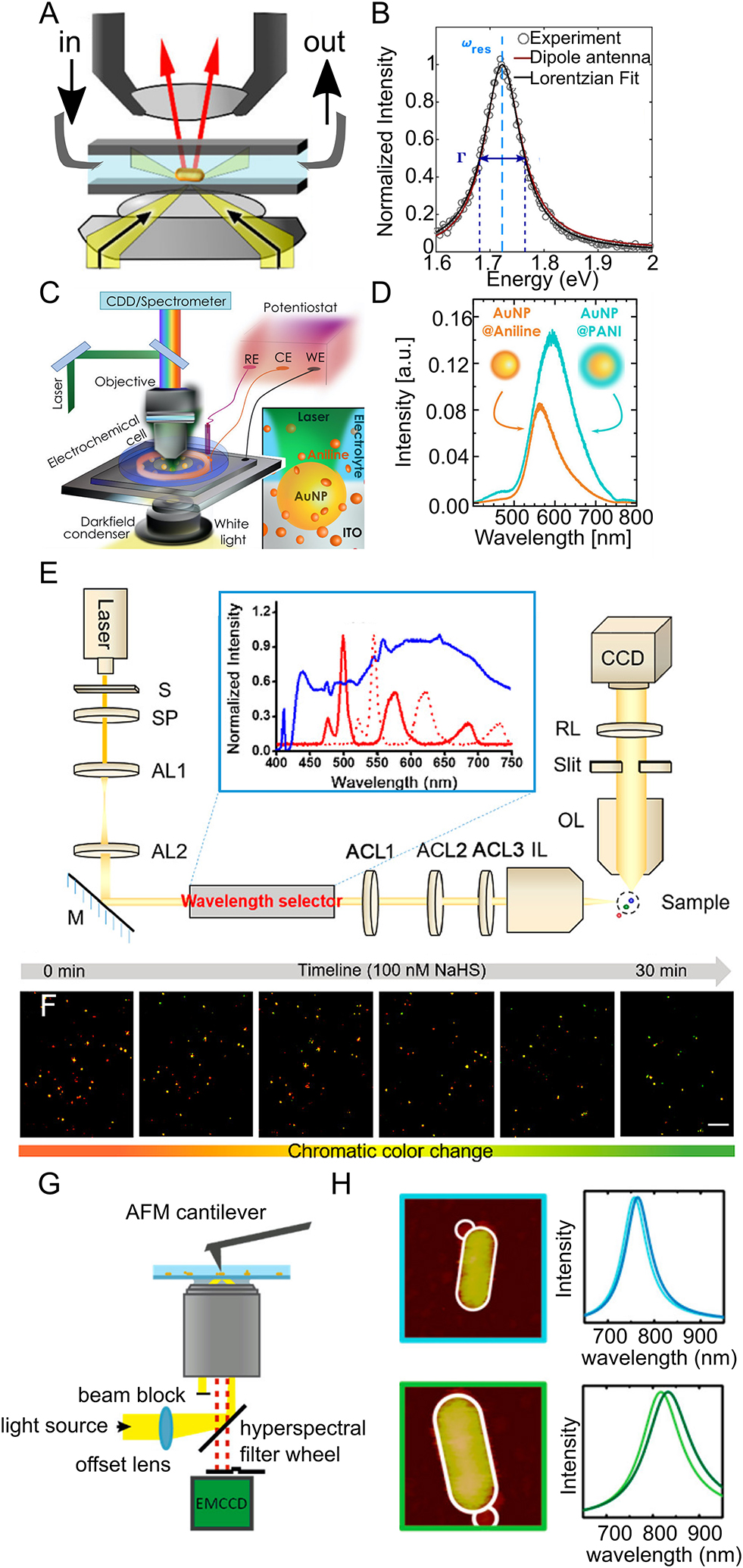 Figure 12: Specialized configurations for nonstatic dark-field imaging.(A) Spectroscopic flow cell for plasmon sensing and (B) an example of a spectrum obtained with this technique. (C) Water-immersion objective for monitoring single-particle electrochemistry and (D) spectra obtained with this technique for a gold nanosphere when aniline was adsorbed and after electro-polymerization of aniline to polyaniline (PANI). WE, CE, and RE stand for working electrode, counter electrode, and reference electrode, respectively. (E) Schematic of a tunable light-sheet illumination setup with multiple spectral bands. S: shutter, SP: short-pass filter, AL and ACL achromatic and achromatic cylindrical lenses, IL: illumination lens, OL: objective lens, RL: relay lens system. Inset: normalized spectrum of the laser before (blue line) and after passing through a moveable mask at two different positions (solid and dotted red lines). (F) The colors of silver-coated gold nanorods are monitored during a reaction with 100 nM sodium hydrosulfide. (G) Objective-based TIR excitation for combined dark-field spectroscopy and AFM. (H) AFM images and spectra of two gold nanorods measured with the setup described in (G). (A, B) Adapted with permission from Sönnichsen and coworkers, Copyright the American Chemical Society, 2017 [215]. (C, D) Adapted with permission from Maier and coworkers, Copyright the American Chemical Society, 2019 [253]. (E, F) Adapted with permission from He and coworkers, copyright the American Chemical Society, 2018 [249]. (G, H) Adapted with permission from Zijlstra and coworkers, Copyright the American Chemical Society, 2018 [139].