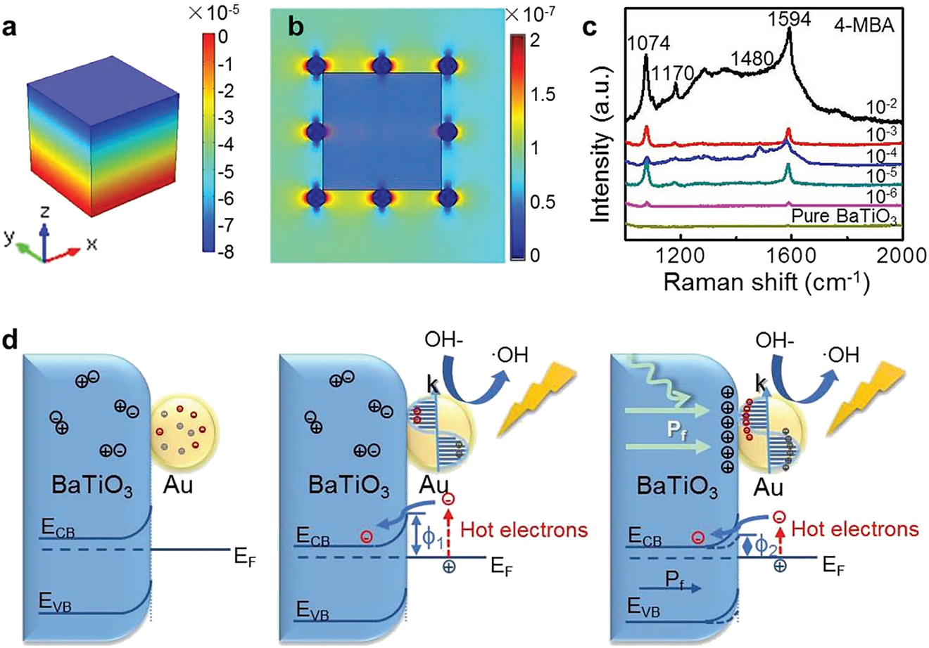 Figure 7: (a) 3D Simulation of the piezoelectric effect in BaTiO3 nanocube. (b) Electric field distribution on gold nanoparticles on BaTiO3 NC showing the enhancement. (c) SERS of 4-mercaptobenzoic acid on the Au-BaTiO3 complex. (d) Mechanism of the piezotronics-enhanced photocatalysis [61].