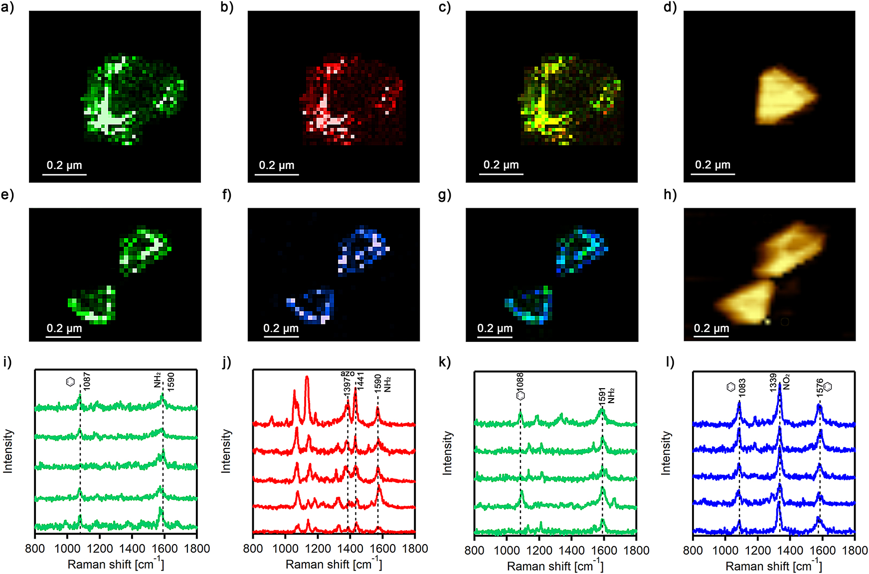 Figure 9: Photo oxidation of 4-ATP to DMAB and 4-NBT.(a) TERS image of 4-ATP and (b) DMAB, as well as (c) TERS image of AuNPs with both NO2 and N=N vibrations; (d) corresponding AFM image of AuNPs; (e) TERS image of 4-ATP on Au@PtNPs; (f) TERS image of 4-NBT on Au@PtNPs; (g) TERS image of Au@PtNPs from overlapping NH2 and NO2 vibrations. Intensity of 1590 cm−1 band (NH2 vibration) of 4-ATP is shown in green; intensity of 1339 cm−1 band (NO2 vibration) of 4-NBT is shown in blue; and intensity of 1397, 1441 cm−1 band (azo vibration) of DMAB is shown in red. (h) Corresponding AFM image of Au@Pt NPs; (i–j) Typical TERS spectra extracted from chemical maps on AuNPs (a–c) showing presence of 4-ATP (green) and DMAB (red). (k–l) Typical TERS spectra extracted from chemical maps on AuNPs (e–g) showing presence of 4-ATP (green) and 4-NBT (blue). The resolution of each TERS image is 20 nm per pixel, with 0.5 s acquisition time [89].