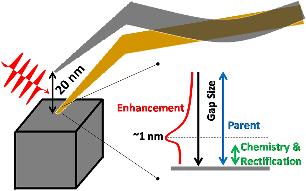 Figure 11: Local optical field properties as inferred from molecular signatures in contact versus tapping mode TERS [98].
