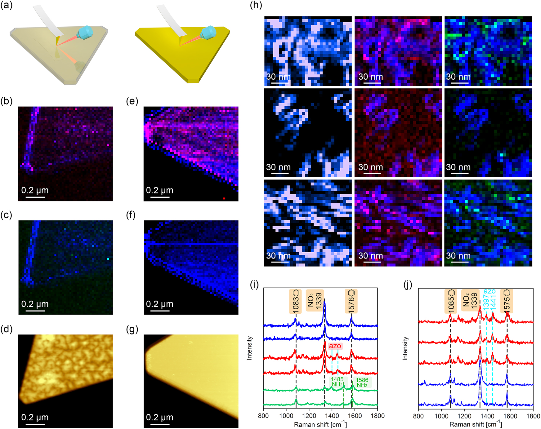 Figure 12: (a) Schematic illustration of TER imaging of Au@Pd (left) and AuMPs (right). (b–c) TERS image of Au@Pd MPs (20 nm per pixel). Intensity of 1339 cm−1 band (NO2 vibration) of 4-NBT shown as blue, intensities of 1397 and 1451 cm−1 (N=N vibration) of DMAB shown as red, and intensities of 1485 cm−1 (NH2 vibration) shown in green. (d) Corresponding AFM (bottom) images of Au@Pd MPs. (e–f) TERS image of AuMPs (20 nm per pixel). Intensity of 1338 cm−1 band (NO2 vibration) of 4-NBT shown in blue, and intensities of 1397 and 1447 cm−1 (N=N vibration) of DMAB shown in red. (g) Corresponding AFM (bottom) images of AuMPs. (h) Nanoscale images (5 nm/pixel) of Au@PdMPs showing distribution of intensities of NO2 vibration, left panels; overlaid NO2 and N=N vibrations, center panels, and overlaid NO2 and NH2 vibration (1485 cm−1), right panels. (i–j) Typical TERS spectra extracted from chemical maps on Au@PdMPs (b, c) and AuMPs (e, f) showing presence of 4-NBT (blue), DMAB (red) and 4-ATP (green) [90].