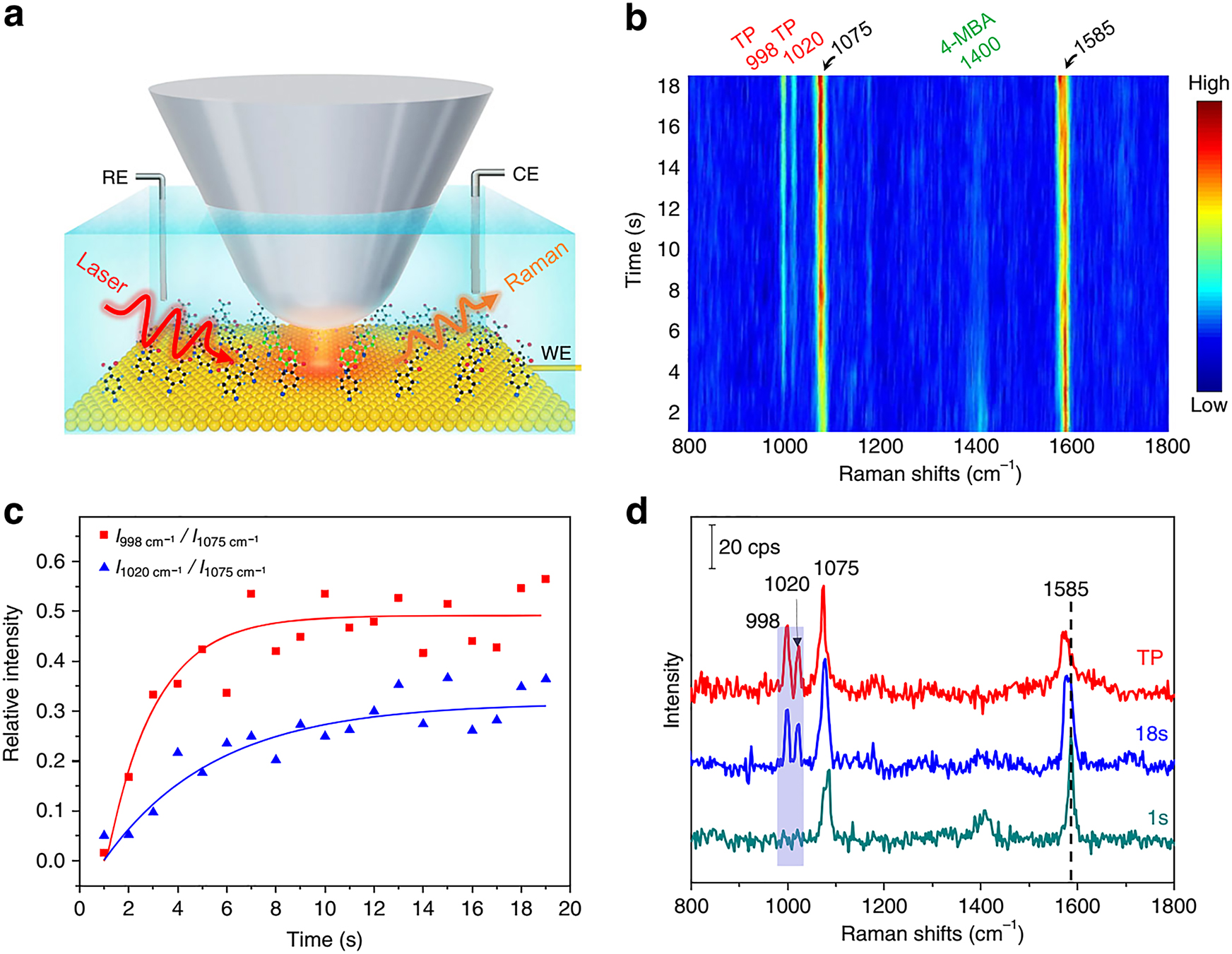 Figure 13: Decarboxylation of 4-mercaptobenzoic acid on Au (111).(a) Experimental set-up of EC-TERS where the reaction is driven under the coupled surface plasmon of silver tip and gold substrate. (b) In situ monitoring of the reaction by TERS (Power: 1.1 mW, bias: 200 mV, Itunneling: 800 pA). (c) Relative intensity of vibration bands (998 and 1020–1075 cm−1) against time. (d) Representative TER spectra of 4-mercaptobenzoic acid and thiolphenol (TP) [103].