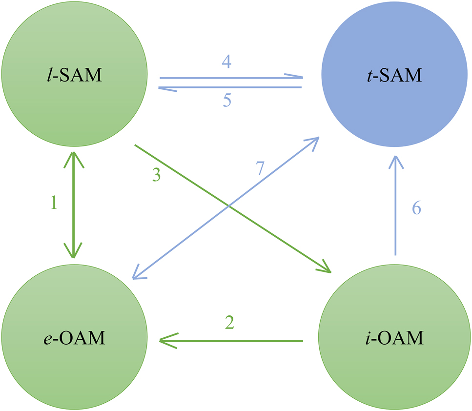 Figure 1: 
Various intriguing optical effects resulted from the interplay and mutual conversions between different types of AMs. ① Optical spin Hall effect [25], [26], [27], [28], [29], [30], [31], [32], [33], [34], [35], [36], [37], [38]; ② orbital Hall effect [43], [44], [45]; ③ spin-to-orbital AM conversions [46], [47], [48], [49]; ④ spin-controlled unidirectional emission [62], [63], [64], [65], [66, 88], [89], [90], [91], [92], [93], [94]; ⑤ the inversed effect of ④ [62]; ⑥ orbital-to-spin AM conversion [54, 55, 70], [71], [72], [73], [74]; ⑦ spin momentum locking and quantum spin Hall effect of light [57, 58, 67], [68], [69]. Noteworthily, no matter whether the spin-controlled unidirectional emission or its inverted effect, they can be decomposed into two processes. For example, the spin-controlled unidirectional emission in Ref. [79] includes the processes: (1) the l-SAM couples with the t-SAM and (2) the t-SAM excites the unidirectional light due to the property of spin-momentum locking. Vice versa, the inverted effect of spin-controlled unidirectional emission in Ref. [62] includes the processes: (1) the directional light excite the t-SAM due to the property of spin-momentum locking and (2) the t-SAM couples to the determined l-SAM.
