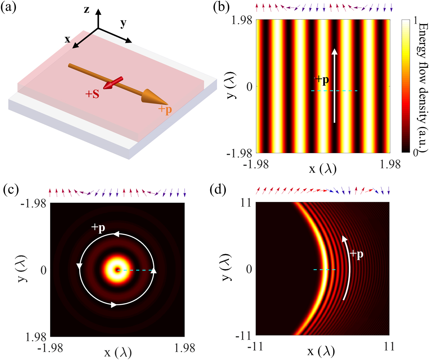 Figure 5: 
Transverse spins and spin–momentum locking in various evanescent SPP waves arising from the spatial variation of the kinetic momentum/Poynting vector: (a) in an unstructured evanescent plane wave, an in-plane transverse spin is present because the Poynting vector normal to the interface decays [67]; (b–d) in structured evanescent waves such as (b) the cosine wave, (c) the Bessel wave, and (d) the Airy wave, there exists besides the in-plane transverse SAM as in (a), another type of transverse spin aligned normal to the interface that is induced by the in-plane Poynting vector arising from the variation in energy flow density within the interface. The spin vectors of the structured beams swirl around the energy flow lobes and their local orientations vary from the ‘up’ to the ‘down’ states, obeying the right-hand rule (see inserts above the panels; the vector graphs show the normalized spin vector along the green lines in the corresponding figures). These orientations are inverted for waves with an opposite direction to the energy flow. Note that for beams with curved trajectories, the spin variation is considered in the plane perpendicular to the local tangential direction of the energy flow [57].
