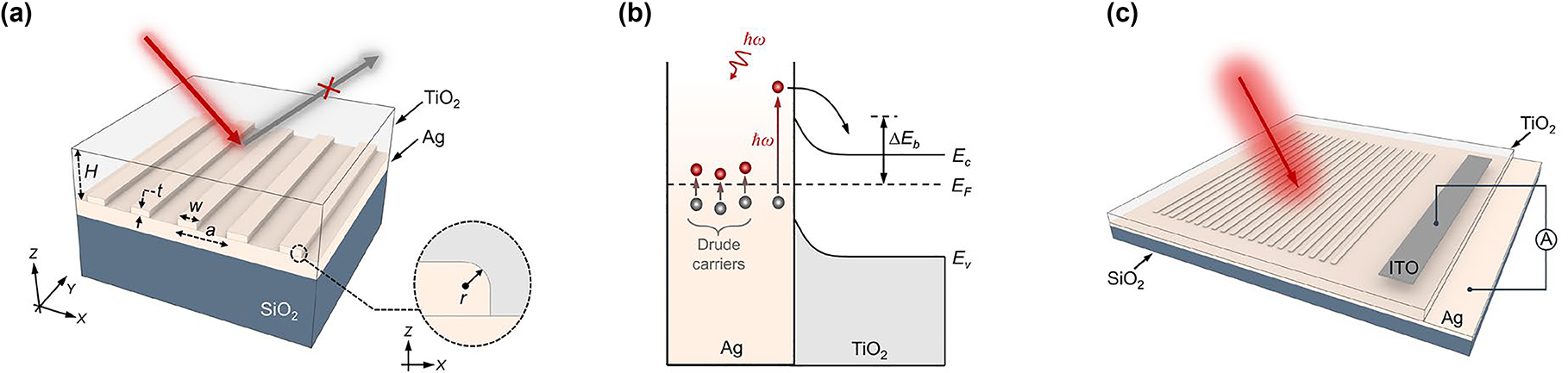 Figure 1: 
Plasmonic structure for HEPD.
(a) Schematic of plasmonic structure supporting perfect absorption enabled by quasi-BIC. The structure comprises a Ag grating (lattice constant a = 300 nm) and TiO2 cladding (thickness H = 300 nm). The ridges of the grating are t = 30 nm high and w = 120 nm wide. The back Ag film is 100 nm thick. Inset shows that the edges of the grating are rounded with a radius r = 6 nm. (b) Mechanisms of the generation and injection of hot electrons at the interface of Ag/TiO2. Since the excitation does not extend to the bottom of the metal (left interface), hot electrons are only generated near the interface of Ag/TiO2. (c) Schematic of the HEPD integrated with indium tin oxide (ITO) electrodes. The circuit can be formed by wire bonding to the Ag film and ITO.
