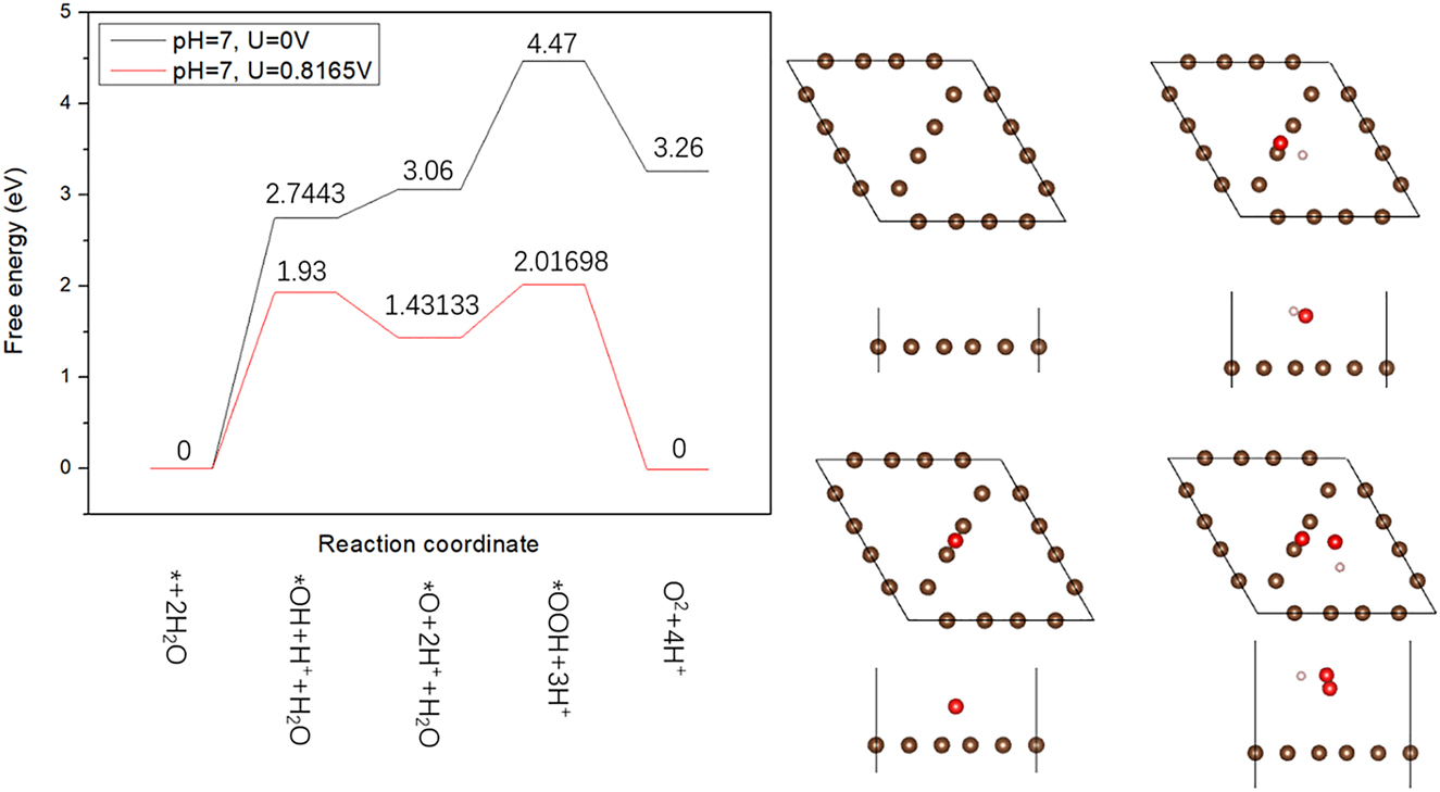 Figure 2: 
Free energy of four steps of oxygen evolution reaction (OER) reaction on the graphdiyne as the anode.
