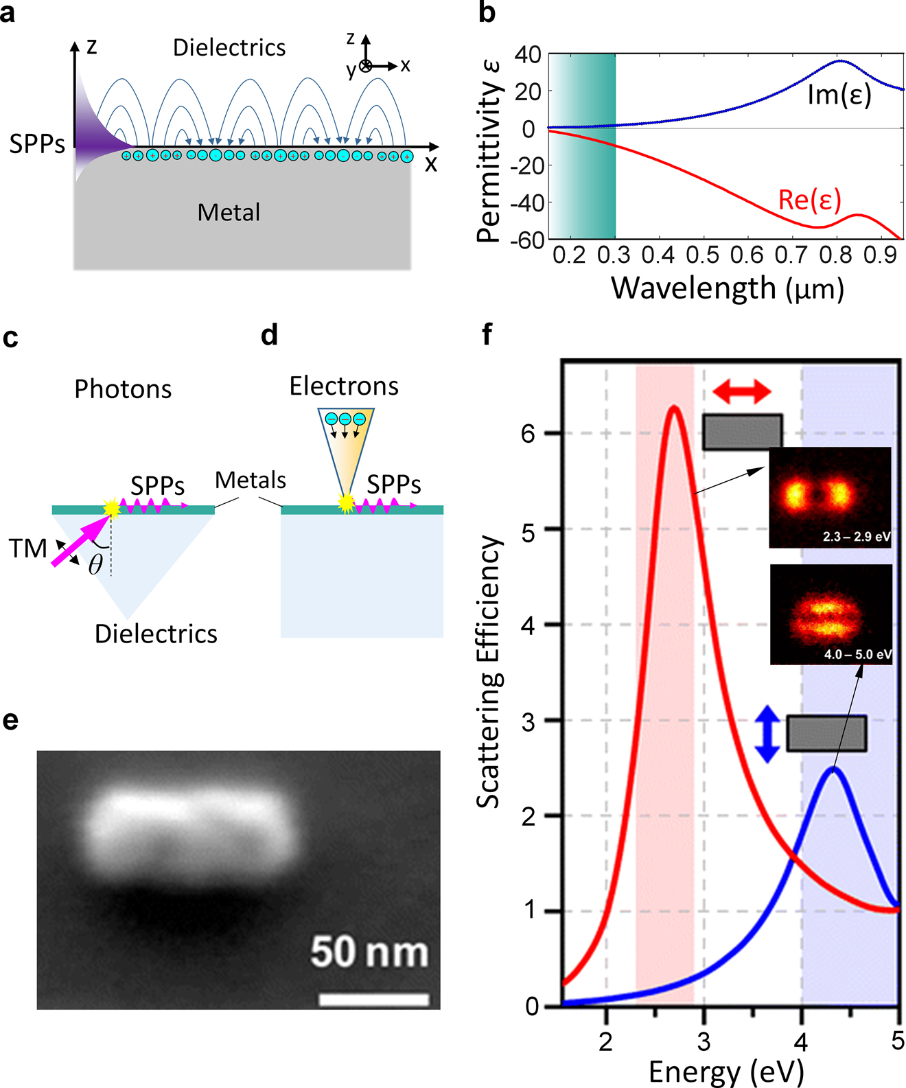 Figure 2: (a) Sketch of SPPs at the interface between dielectric and metal. (b) Permittivity of aluminum. (c and d) Sketch of the excitation of UV SPPs by using photons (c) and electrons (d). (e) SEM image of an aluminum nanorod. (f) The simulated scattering intensity for the longitudinal (red) and transverse (blue) plasmonic modes existing in the aluminum nanorod in (e). Knight et al. [38]. © 2012 American Chemical Society. The inserts show the experimental measured plasmonics modes with different photon energies.