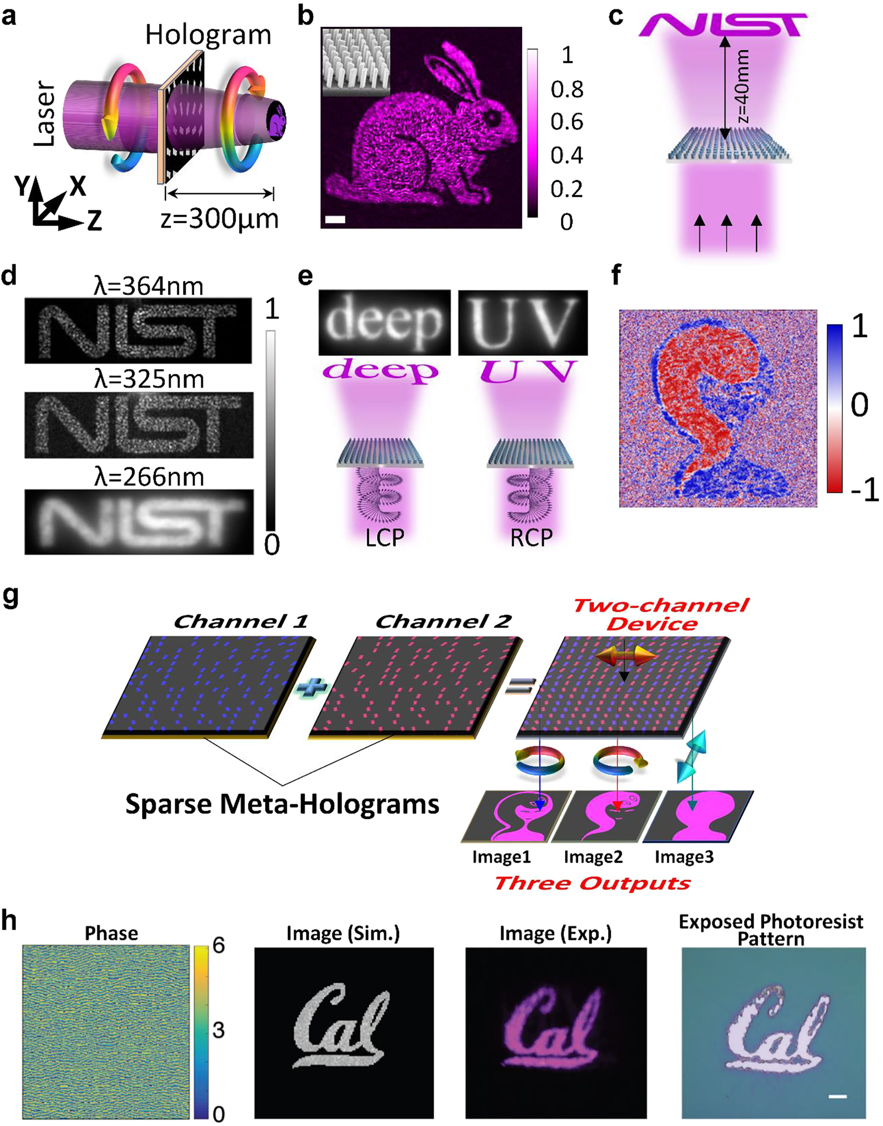 Figure 10: (a and b) Sketch (a) for the UV metasurface hologram and the experimental holographic image (b) by using the Nb2O5 nanobricks at the operating wavelength of 355 nm. Huang et al. [109]. © 2019, WILEY‐VCH Verlag GmbH & Co. KGaA, Weinheim. (c and d) Sketch (c) for the HfO2-based metahologram operating at the broadband wavelengths and their measured images (d). (e) Spin-multiplexed metahologram that reconstructs two spin-dependent images at the wavelength of 266 nm. Zhang et al. [106]. Author copyright. (f) Spin-multiplexed UV metasurfaces encoding two sparse holograms that are used to create the complementary images of “girl” and “snake”. (g) Experimental holographic image by labeling the polarization information where the blue color denotes the spin-up photons and the red for spin-down photons. Huang et al. [109]. © 2019, WILEY‐VCH Verlag GmbH & Co. KGaA, Weinheim. (h) Si-based UV metahologram for lithography. The phase profile of the hologram is shown at the left panel. The simulated, experimental, and exposed images are provided at the right panel by addressing their names. Deng et al. [107]. © 2018 WILEY‐VCH Verlag GmbH & Co. KGaA, Weinheim.
