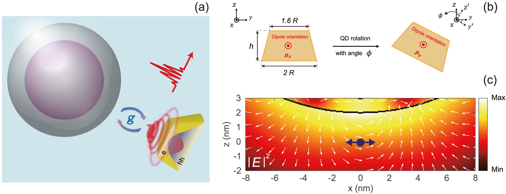 Figure 1: Physical models of the coupled plasmon-QD system and the QD. (a) Schematic diagram of an InA/GaA QD coupled to a silver nanoshell. The QD has spatially extended electron and hole wave functions. (b) QD rotation along the dipole orientation (x axis). The cross section of QD is trapezoid, with height h and radius R. (c) Vector map and electric field intensity distribution for plasmonic field generated by an x-oriented dipole source (blue dot and arrow) located 2 nm from nanoshell.