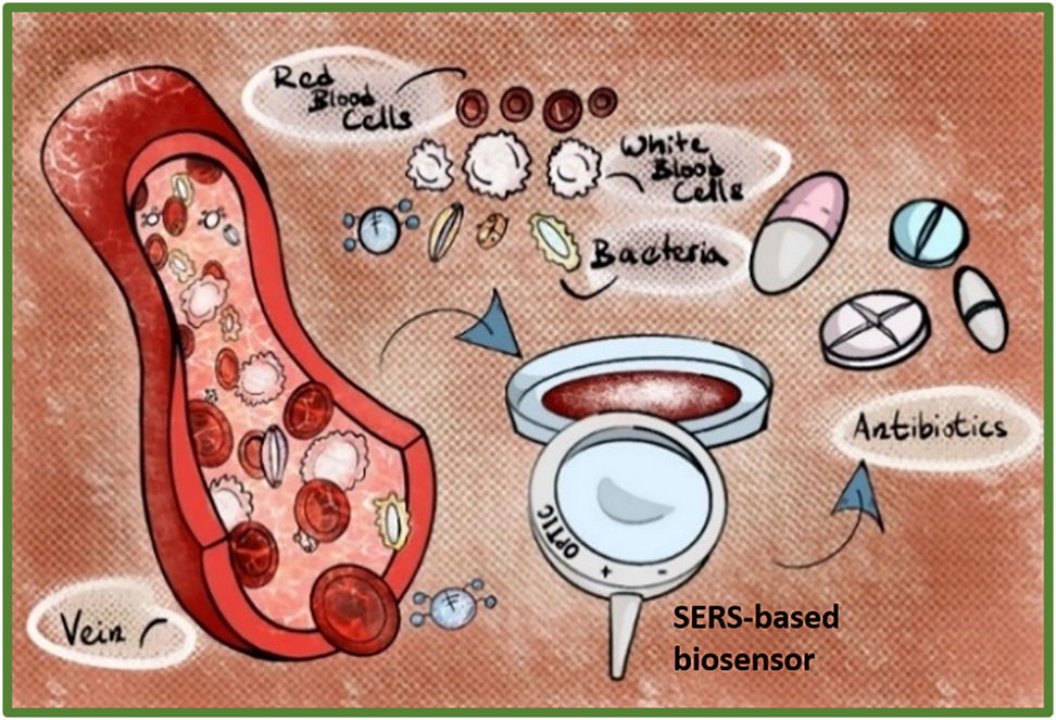 Figure 1: 
In order to determine bacterial pathogens in a small amount of blood is taken from a vein with a needle. Consequently, in an ideal case, pathogens are identified quickly and appropriate antibiotics are prescribed. Here is shown surface enhanced Raman scattering (SERS) as a potential method of choice which excels in speed and sensitivity. Figure courtesy of Gabriela Samkova.