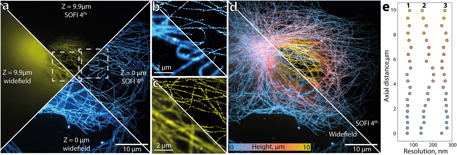 Figure 2: Sequential-plane imaging with SOFI.(a) Images of tubulin of a COS-7 cell immunostained with Abberior FLIP-565 self-blinking dye acquired from different heights of 0 µm (blue) and 9.9 µm (yellow). A comparison of a widefield and SOFI 4th order images recorded at 0 µm (b) and 9.9 µm (c) indicates a clear contrast and resolution improvement provided by SOFI. (d) An overlay of 20 planes spaced with approx. 500 nm axial distance. (e) Lateral resolution dependency on height for different SOFI orders (1 – SOFI 4th, 2 – SOFI 2nd, 3 – widefield).