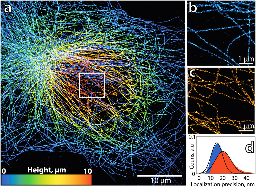 Figure 3: Multiplane single-molecule localization microscopy.(a) A height coded render of 20 resolved planes spaced 500 nm apart. The same dataset as in Figure 2 was processed. (b–c) Zoom-ins from the bottom (b) and top (c) planes. (d) Localization precision histogram showing a localization precision difference of 5.3 nm in the 10 µm axial range.