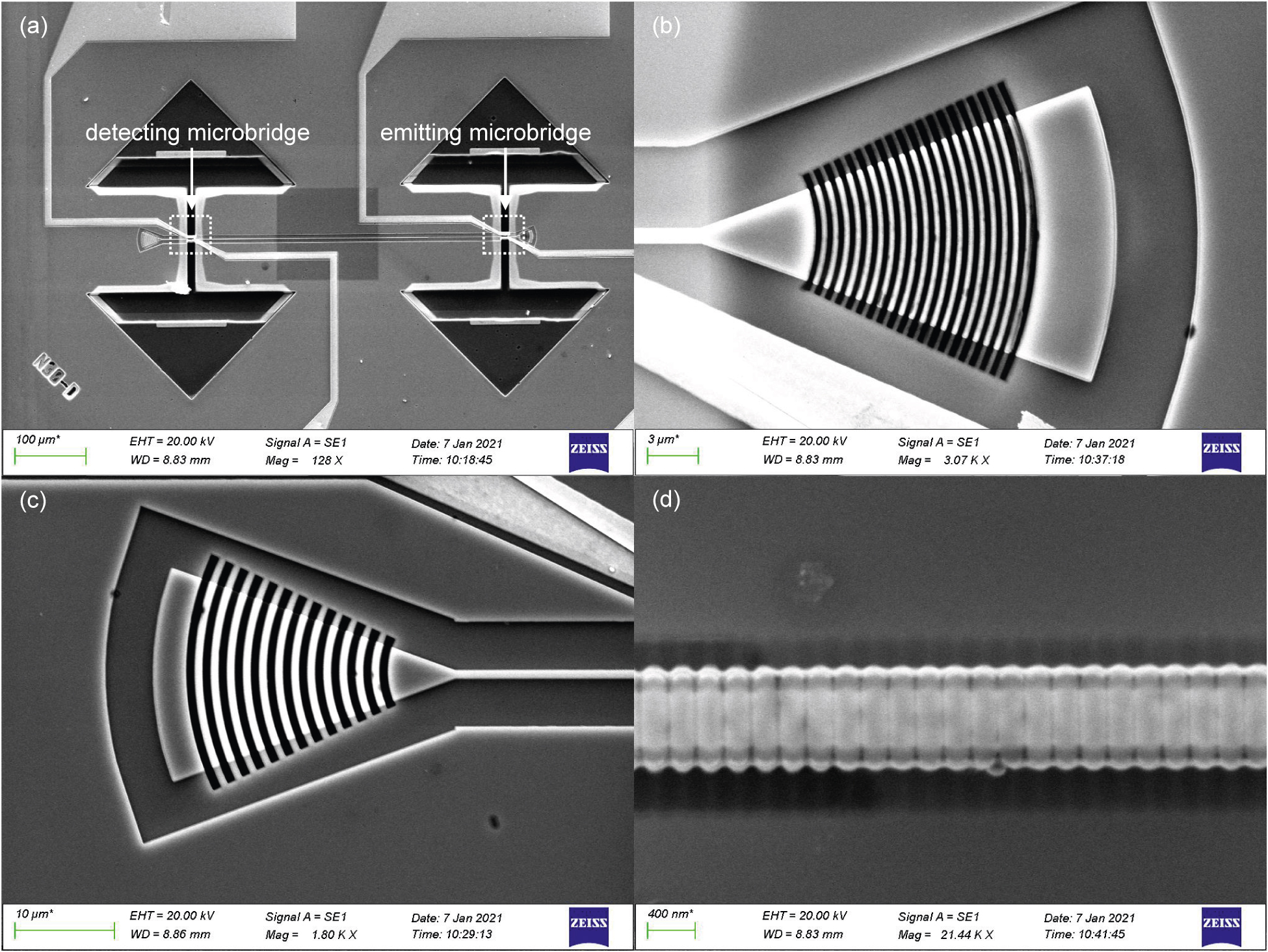 Figure 5:
Scanning electron microscope (SEM) images of the fabricated device.
(a) Overall view of the emitting-detecting configuration with both of the microbridges suspended. (b) Focusing DBR grating. (c) Grating coupler. (d) Ridge waveguide with surface DBR grating.