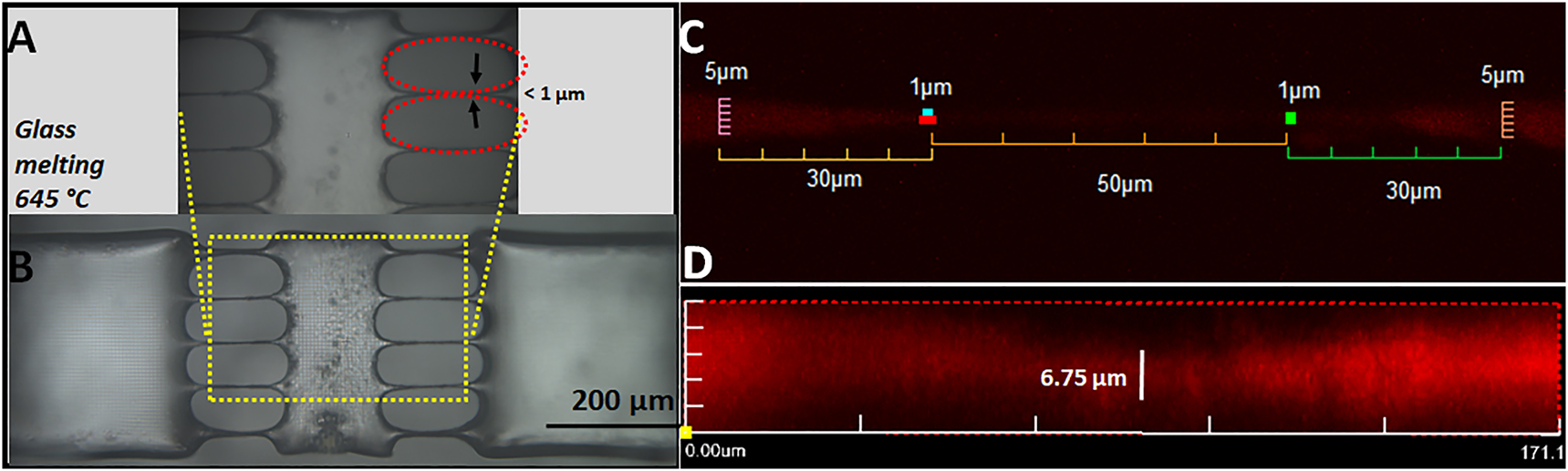 Figure 3: Optical microscope images of the sample after the thermal treatment at 645 °C (a, b). Imaging of submicrometer channels inside the microfluidic biochip using Rhodamine Red: (c) Magnified image in the xy plane. (d) Side view of (c). Reproduced from [91].