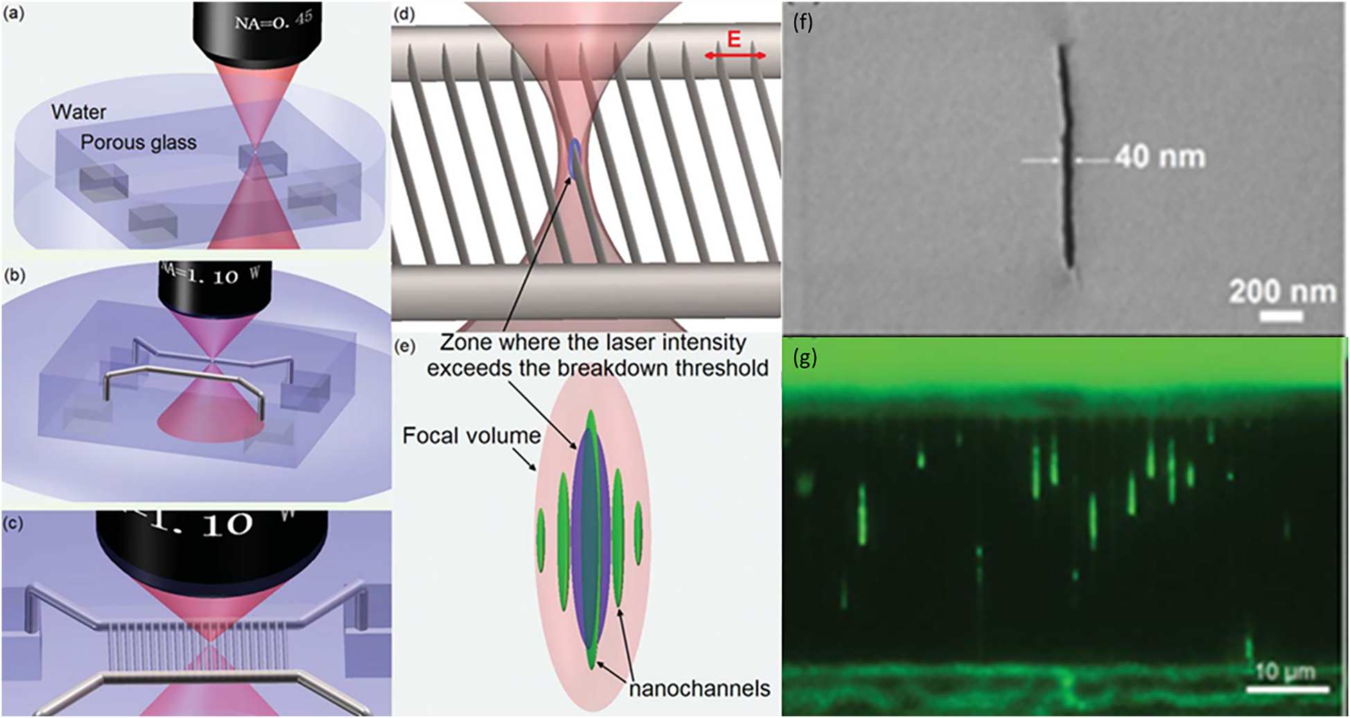 Figure 6: Schematics of (a–c) procedure for fabrication of micro-nanofluidic system by ultrafast (femtosecond) laser direct write ablation of porous glass in water; (d) scheme and (e) mechanism of nanochannel fabrication; (f) scanning electron micrograph of nanochannel; (g) fluorescence image of DNA in an array of nanochannels with a width of 50 nm. Reproduced from [84].