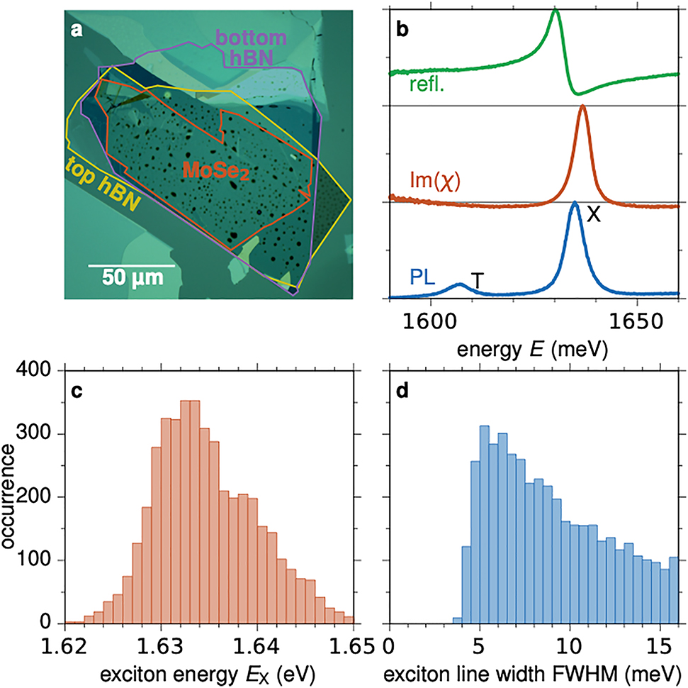Figure 1:
Sample characterization. (a) The white light image of the investigated heterostructure. The bottom hexagonal boron nitride (hBN) is marked in violet, the MoSe2 ML in orange, and the top hBN in yellow. (b) Typical normalized micro-reflectance (top), the corresponding susceptibility Im(χ) (center), and micro-photoluminescence (PL) spectra (bottom) at 5 K, measured around the fundamental exciton transition (X). The trion is marked by T. (c and d) Statistics of exciton center transition energy and linewidth, respectively, illustrating inhomogeneities across the sample.