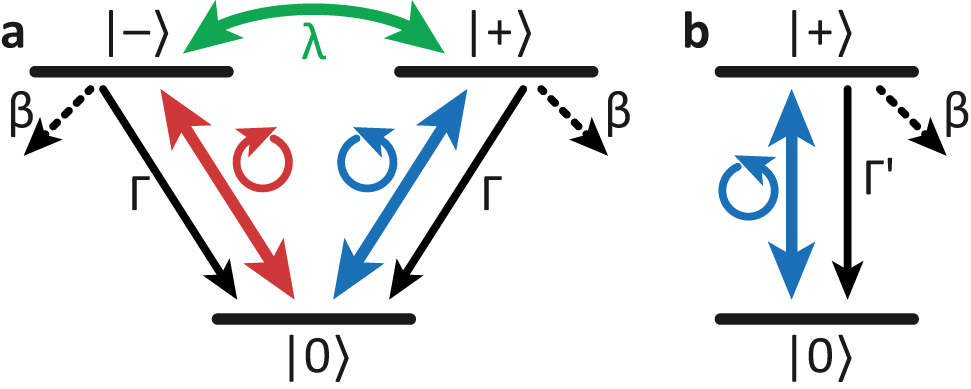 Figure 2:
Level structure of the model. (a) Three-level system (3LS) in a V-shape including scattering between the excited states. (b) Reduced two-level system (2LS) considering only one polarization orientation.
