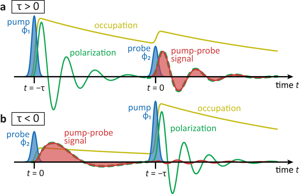 Figure 3:
Schematic picture of the pump-probe signal generation. (a) For positive delays and (b) for negative delays. The signal (red) is launched by the probe pulse at t = 0 and carries contributions from the occupation (yellow) and the polarization (green) after the pump pulse for τ > 0 (a). For τ < 0, the signal changes its dynamics by the latter impinging pump pulse (b).