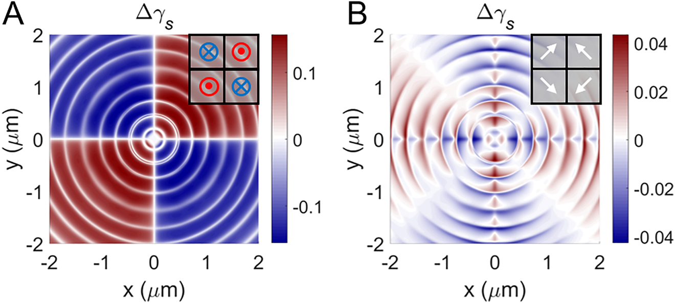 Figure 5: 
Simulated spatial distributions of Δγ

s
 for the domain structures with two orthogonal domain walls located at x = 0 and y = 0: (A) Polar magnetization and (B) in-plane magnetization. Inserts show the magnetization orientation in the domains. The illumination configuration is the same as in Figure 3(A).
