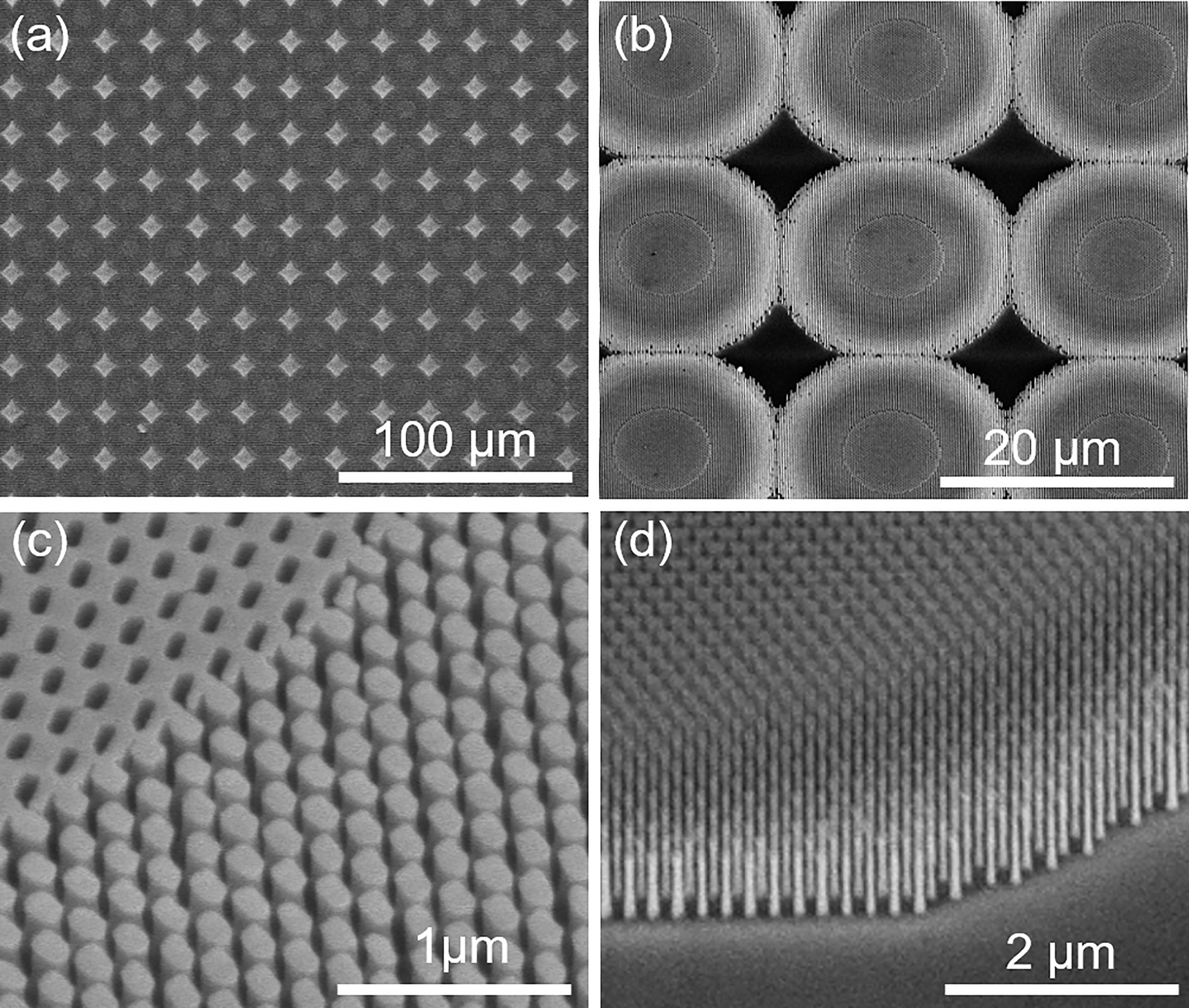 Figure 2: 
SEM images of the achromatic meta-lens array. (a) and (b) Zoomed-in SEM image of the achromatic meta-lens array. (c) and (d) Tilted-view zoomed-in SEM image of the achromatic meta-lens array. The tilted angle is 30° and 45°, respectively.
