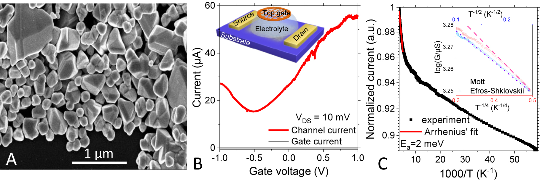 Figure 1:
(A) Scanning electron microscopy image of large HgTe NCs. (B) Transfer curve (drain and gate current as a function of the applied gate bias) for a thin film made of large HgTe NCs used as the channel of an electrolytic transistor. Inset is a scheme of the field-effect transistor. (C) Current in logarithmic scale as a function of the temperature for a thin film made of large HgTe NCs. Arrhenius’ fit of the curve in the vicinity of room temperature leads to an activation energy of 2 meV. The inset is a plot of the log of the current as a function of T
−1/2 and T
−1/4.