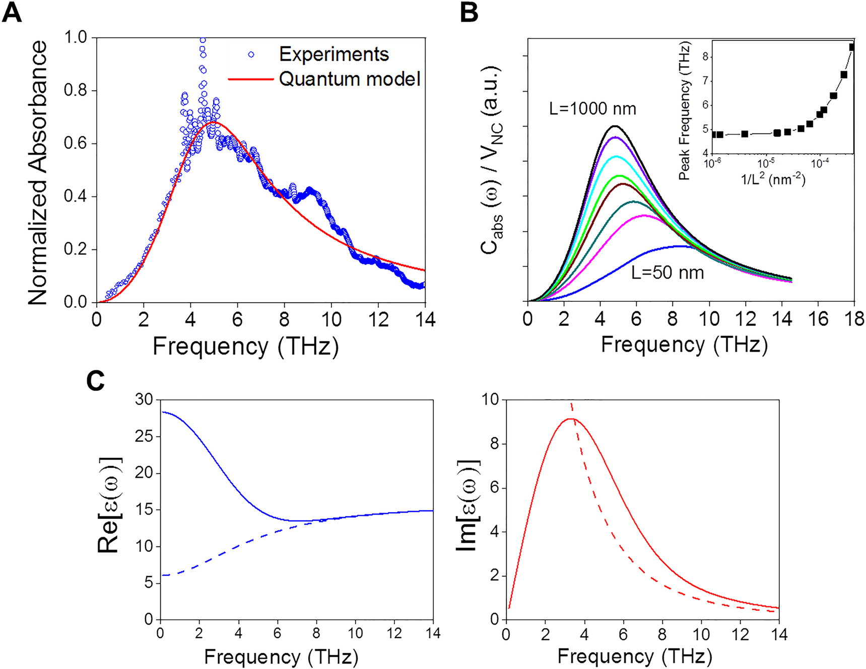 Figure 3: 
(A) Calculations based on the full quantum-mechanical model of the normalized absorbance of the composite film, A(ω) (red line), for a chemical potential μ = 8 meV, a broadening of γ = 10 meV, a size distribution reported in Figure S4 and experimental data obtained from THz-TDS and FTIR measurements (blue dots). (B) The absorption cross-section per unit volume of individual NCs, 






C
abs


(

ω
;
L

)


/

V
NC





${C}_{\text{abs}}(\omega ;L)/{V}_{\text{NC}}$



, for NC sizes ranging from L = 1000 nm to L = 50 nm, assuming μ = 8 meV and γ = 10 meV. Inset: Peak frequency of 




C
abs


(

ω
;
L

)




${C}_{\text{abs}}(\omega ;L)$



 as a function of 1/L
2 in semi-log scale reflecting more quantum confinement of carriers as NCs become smaller. (C) Real, 



Re

[

ϵ

(
ω
)


]




$\mathrm{Re}[{\epsilon}(\omega )]$



, and imaginary parts, 



Im

[

ϵ

(
ω
)


]




$\mathrm{Im}[{\epsilon}(\omega )]$



, of the intraband permittivity as a function of the photon frequency, for a HgTe NC of size L = 92 nm, µ = 8 meV and 



γ



$\gamma $



 = 10 meV. For comparison, dashed curves are the real and imaginary parts of the permittivity based on classical Drude model.
