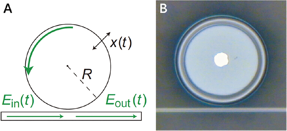 Figure 5: 
Motion transduction with a microtoroid cavity. (A) Schematic and (B) optical microscope image of tapered fiber coupled microtoroid cavity [31].
