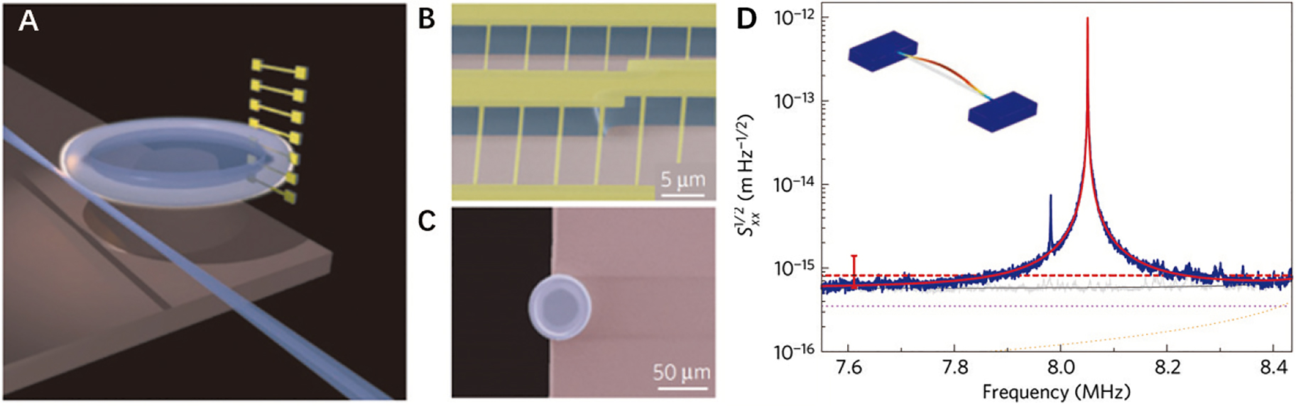 Figure 6: 
(A) Schematic of the tapered-fiber-interfaced optical cavity dispersively coupled with an array of nanomechanical resonators. Scanning electron micrograph (false color) of (B) doubly clamped SiN nanostring resonators and (C) microtoroid cavity. (D) Displacement density as a function of frequency. Inset: finite-element simulation of the string’s fundamental mode [84].
