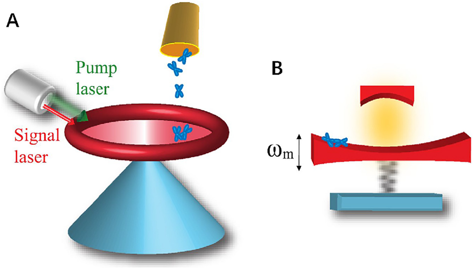 Figure 8: 
Diagram of the all-optical mass sensor based on an optomechanical system. (A) A strong pump field and a weak signal field are applied to a toroidal nanocavity system, which weighs the masses of biological chromosome. (B) Equivalent figure of (A) in the typical cavity optomechanical system, which consists of a movable mirror connected with a spring and a fixed mirror [113].

