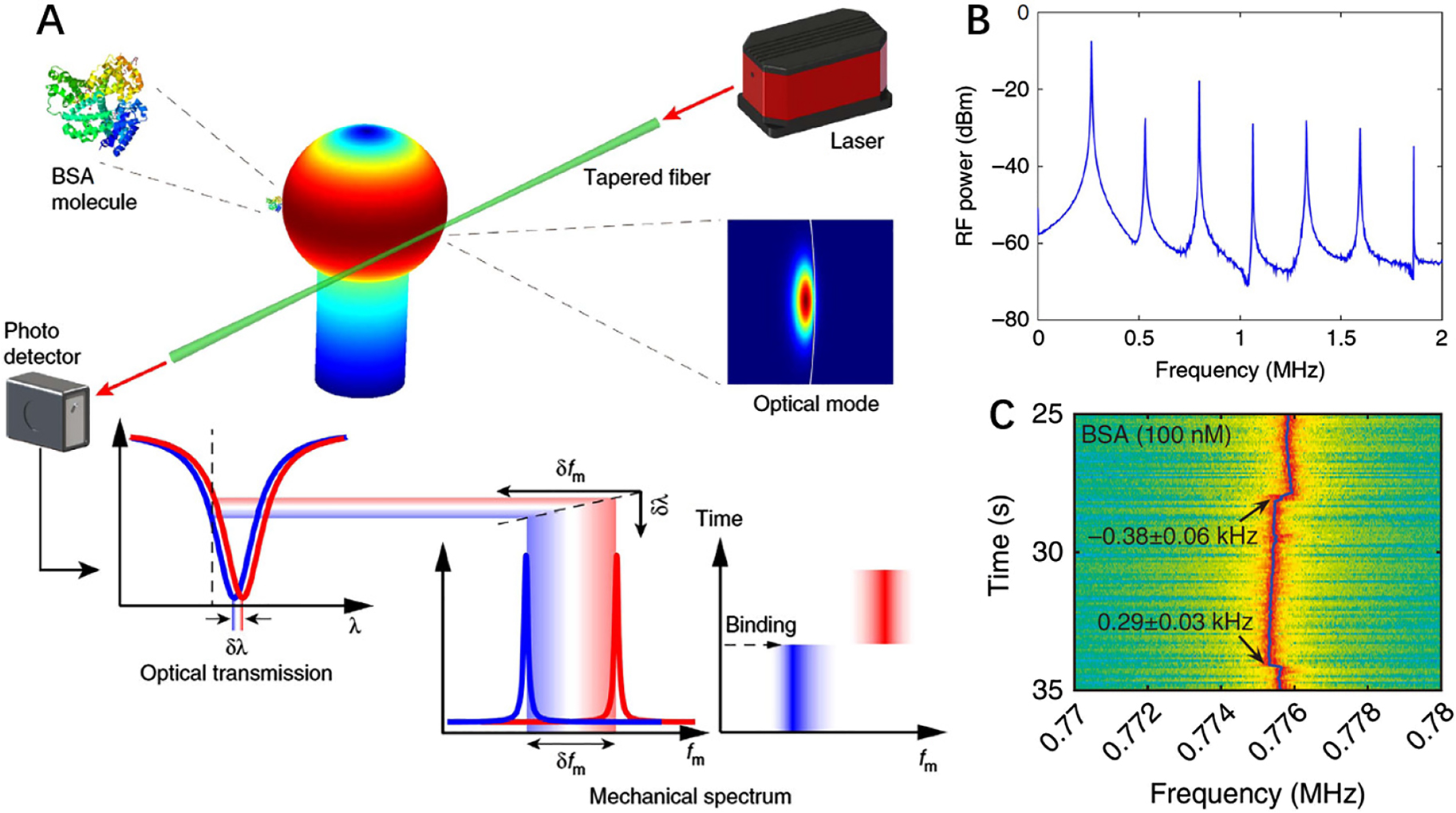 Figure 10: 
(A) Schematic illustrating the sensing mechanism. When binding the molecules, the optical transmission curve of the optomechanical system drifts from the red line into the blue line. The color map on the microsphere shows the radial breathing mechanical mode simulated by the finite element method. (B) The power spectral density of the cavity transmission. (C) Typical mechanical spectrograms recorded at the third harmonic of the oscillation tone with 100 nM-nominal-concentration protein molecules [110].
