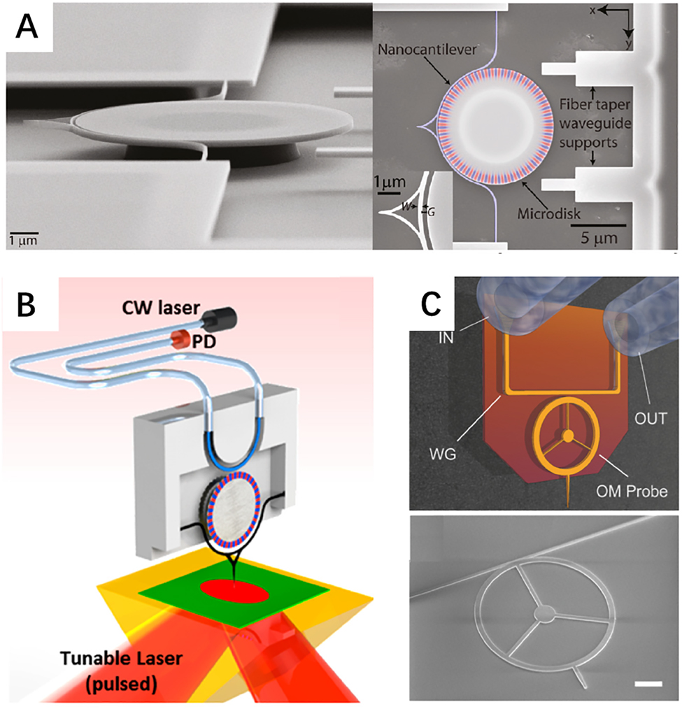 Figure 15: 
Atomic force microscope using cavity optomechanical systems. (A) Integrated silicon microcatileter probe which is optomechanically transduced using a microdisk [36], (B) photonic transducer photothermal induced resonance: a fiber-pigtailed, integrated transducer leverages cavity optomechanics to measure motion of a nanoscale probe, radically reducing the noise and increasing the measurement bandwidth for capturing the sample’s fast thermalization dynamics induced by laser pulses [37]. (C) Top: optomechanical probe with resonance frequency larger than 100 MHz, which couples light through a waveguide (WG) and two fiber grating couplers (IN and OUT). Bottom: SEM micrograph of the optomechanical probe, used in [38].

