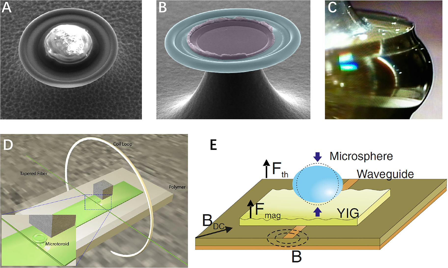 Figure 18: 
Cavity optomechanical magnetometers. (A) Cavity optomechancial magnetometry using microtoroids with particles of magnetostrictive material Terfenol-D embedded inside [49]. (B) Cavity optomechanical magnetometry using microtoroids with a thin film of Terfenol-D sputter coated inside [47]. (C) Cavity optomechanical magnetometry using a cm-size CaF2 resonator with a cylinder of Terfenol-D embedded inside [46]. (D) A magnetometer using a microtoroid with a microsized magnet embedded inside the cavity, capsulated using poly(dimethylsiloxane) (PDMS) [50]. (E) Magnetometry working at hundreds of MHz to a few GHz, assisted by ferromagnetic resonance in a yttrium iron garnet (YIG) film, whose mechanical motion is read out through a microsphere [52].
