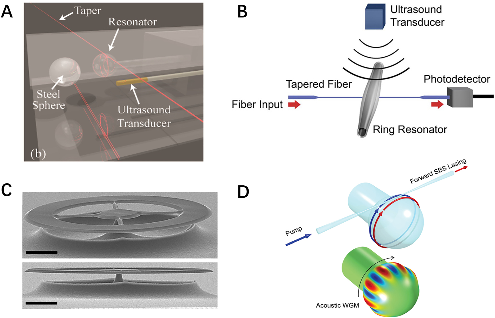 Figure 20: 
Acoustic sensing using different cavity optomechanical systems: (A) silica microsphere cavity [55], (B) silica microbottle cavity [56], (C) silica microdisk cavity [57], and (D) stimulated Brillioun lasing in silica microspheres [63].
