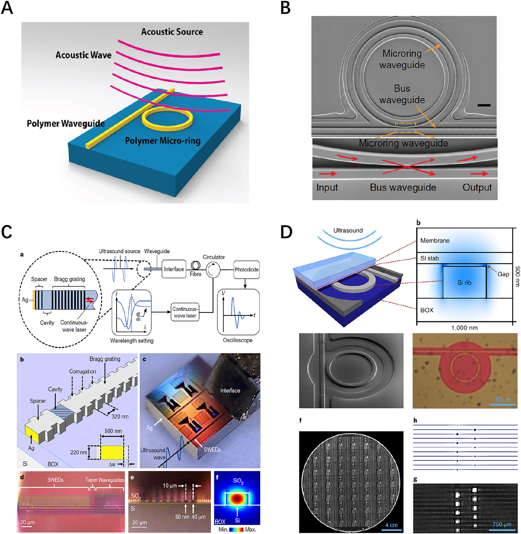 Figure 22: 
Photoacoustic sensing using integrated resonator systems: (A) polystyrene microring resonator [60]. (B) PDMS microring resonator [62]. (C) Silicon point-like silicon waveguide–etalon detector [64]. (D) Silicon microring resonator coupled with a membrane with a 15 nm air gap in between [65].
