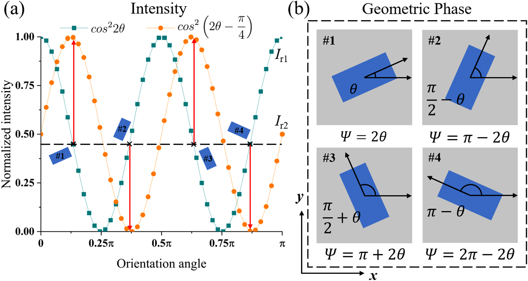Figure 2:
Working principles of the non-orthogonal polarization multiplexed metasurface for simultaneous dual-intensity and phase modulations.
(a) Near-field intensity modulation scheme of the metasurface. When the bulky polarizer and analyser are rotated to two different polarization combinations, i.e., (π/4, 3π/4) and (3π/8, 7π/8), the intensity of the incident light in channels 1 and 2 can be modulated according to two different modulation functions I
r1 and I
r2. For a pixel with the specific intensity in channel 1, there are four orientation candidates for each nanobrick. For the same pixel with the binary value in channel 2, two of four are qualified, depending on whether the value is above 0.5 or below 0.5. (b) Phase modulation scheme of the metasurface. The geometric phase is equal to twice the orientation angle. It should be noted that only two of the four candidates are available since the intensity modulation should meet the requirements in channels 1 and 2.