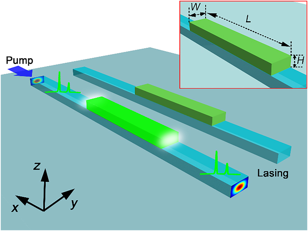 Figure 1:
Schematic of the IPWP method with a localized waveguide source. Inset is the zoomed-in view of a high-index gain dielectric strip.